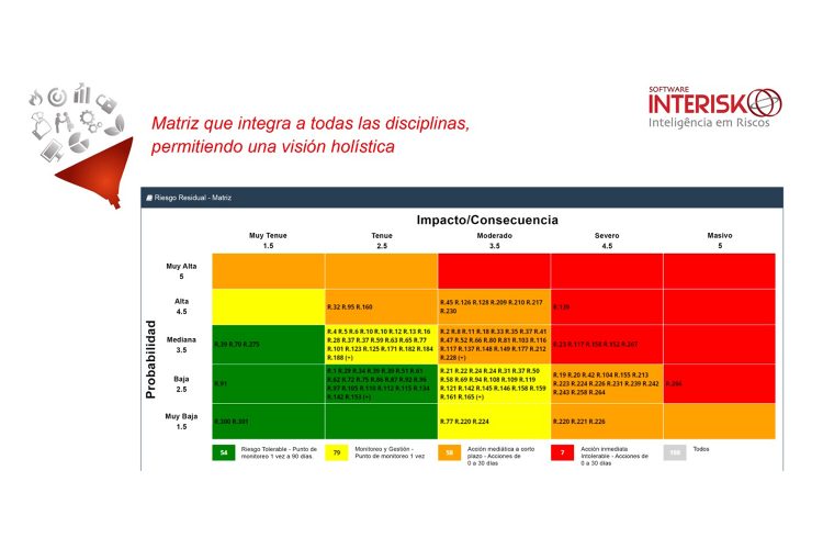 Gráfico disciplinas de riesgos en una única matriz