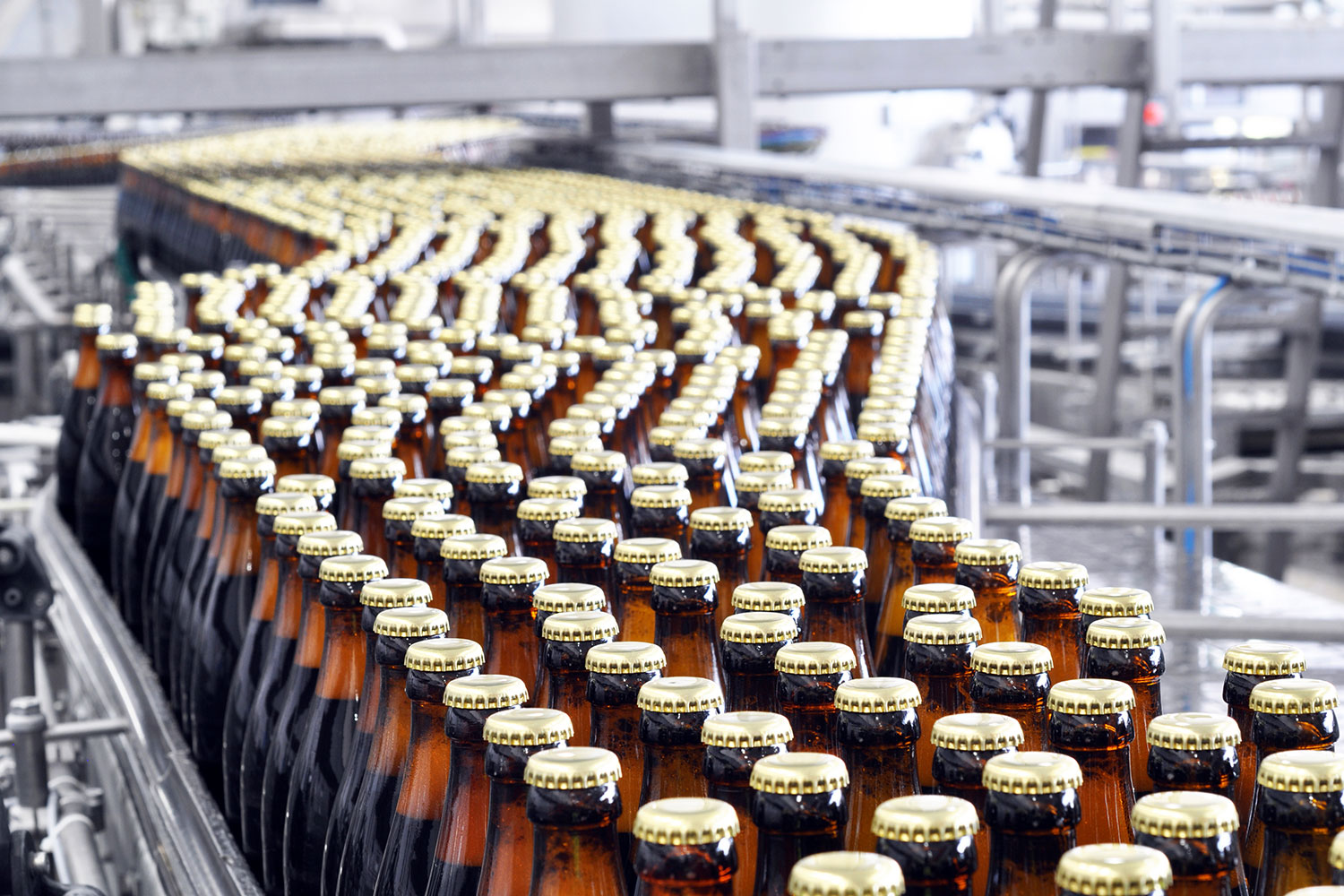 cadena de producción de una planta cervecera