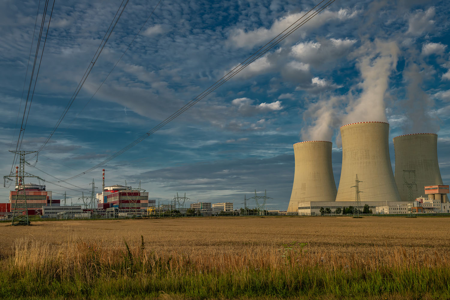 Central nuclear
