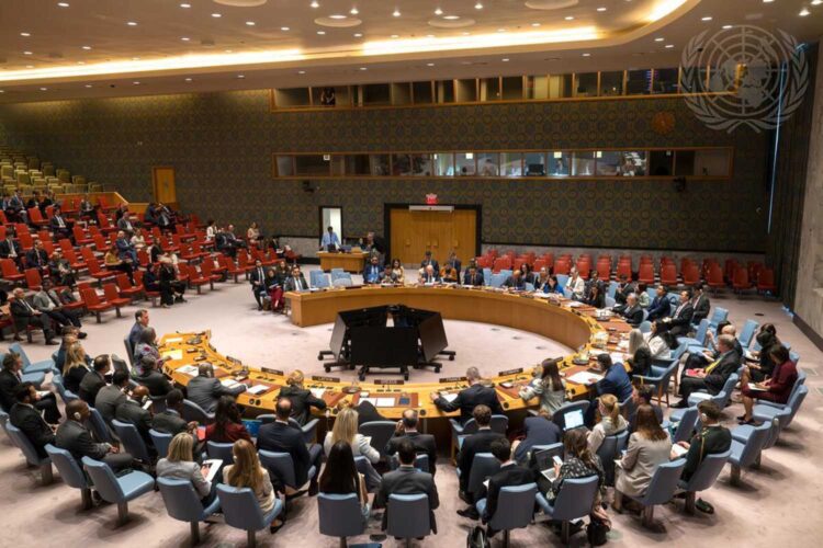 Una sesión del Consejo de Seguridad de la ONU.